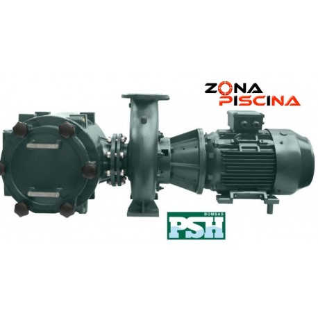 Bomba de piscina FDN-HV PSH grandes caudales