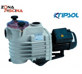 Recambio motor completo bomba NK Ninfa Kripsol Hayward.