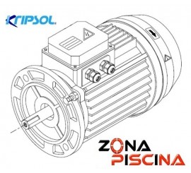 Recambio motor completo bomba NK Ninfa Kripsol Hayward.